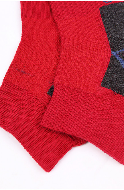 Шкарпетки чоловічі демісезонні червоні 126201L