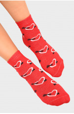 Шкарпетки жіночі червоні розмір 36-40 131904L