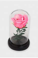 Ночник 132816L