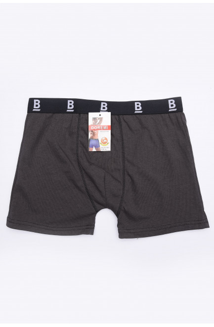 Боксеры мужские размер XL 144953L