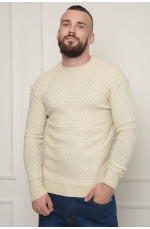 Свитер мужской молочный демисезон акриловый 151170L