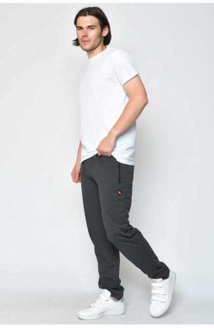 Спортивные штаны мужские серого цвета 158663L
