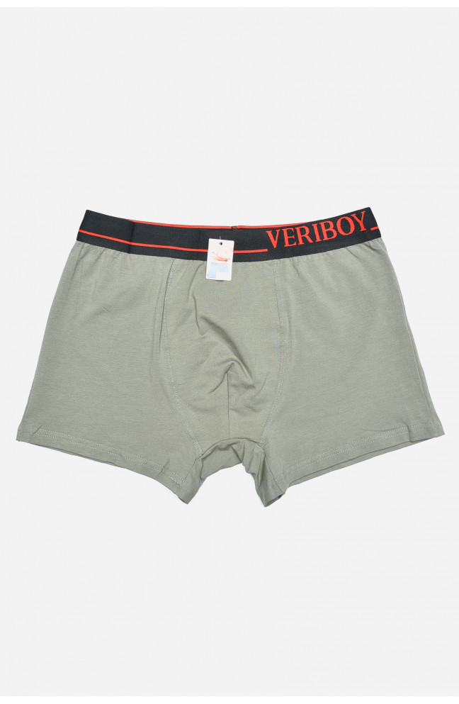 Боксеры мужские светло-зеленого цвета размер XL 160415L