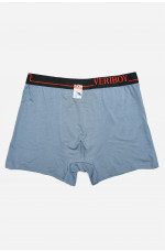 Боксеры мужские темно-голубого цвета 160416L