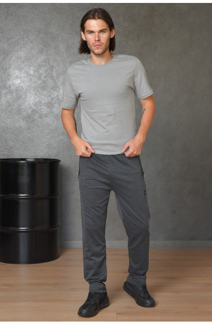 Спортивные штаны мужские серого цвета 164985L