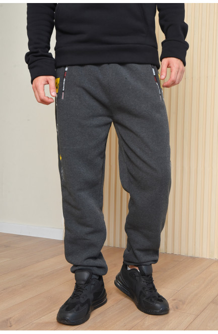 Спортивні штани чоловічі на флісі темно-сірого кольору 165458L