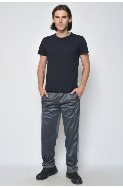 Спортивные штаны мужские серого цвета 165735L