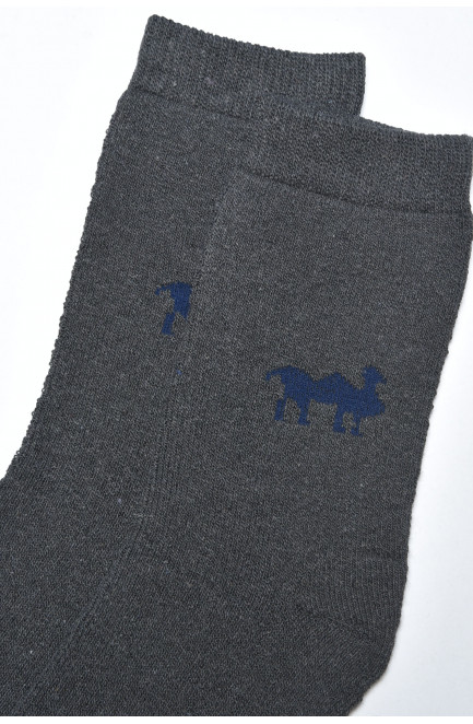 Шкарпетки чоловічі махрові темно-сірого кольору розмір 42-48 166913L
