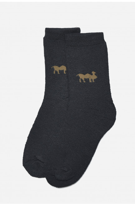 Шкарпетки чоловічі махрові чорного кольору розмір 42-48 166914L