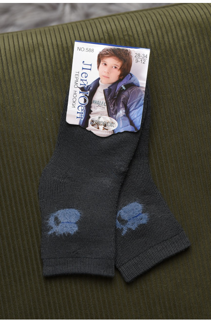 Шкарпетки дитячі махрові для хлопчика темно-сірого кольору 167875L