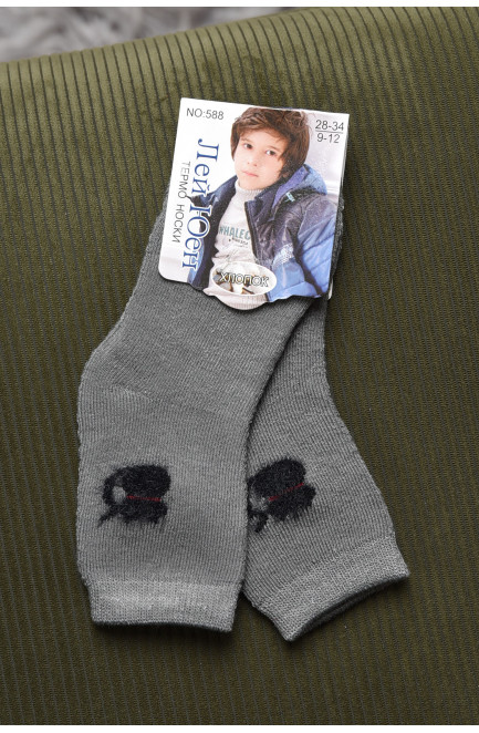 Шкарпетки дитячі махрові для хлопчика сірого кольору 167879L