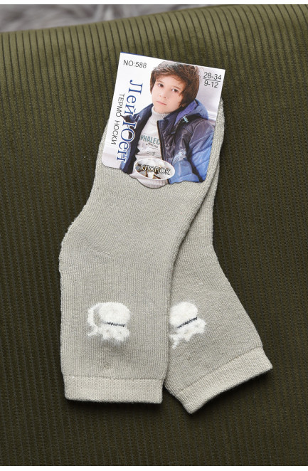 Шкарпетки дитячі махрові для хлопчика темно-бежевого кольору 167883L