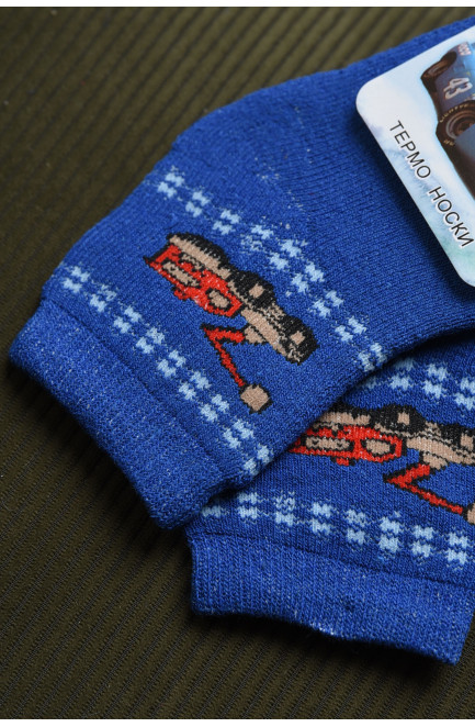 Шкарпетки дитячі махрові для хлопчика синього кольору 167966L