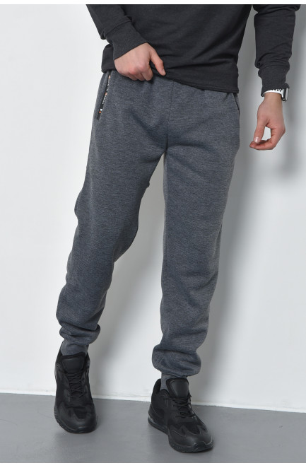 Спортивні штани чоловічі на флісі сірого кольору 168438L