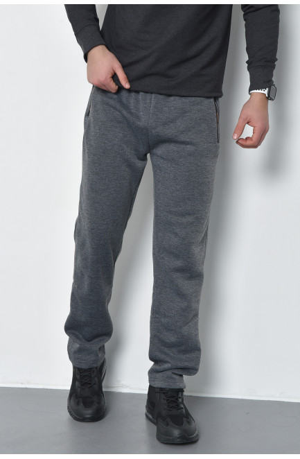 Спортивные штаны мужские на флисе серого цвета 168441L