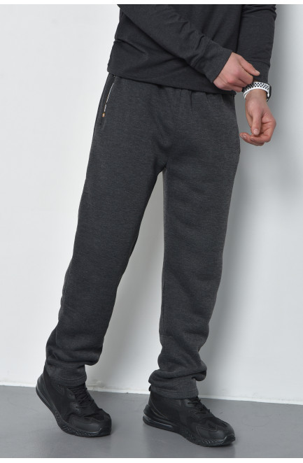 Спортивные штаны мужские на флисе темно-серого цвета 168444L