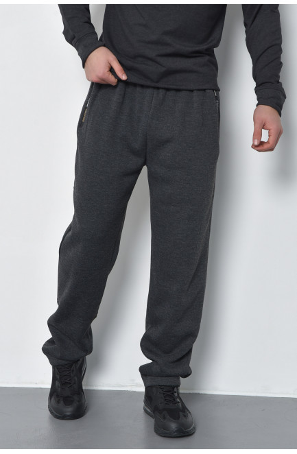 Спортивные штаны мужские на флисе темно-серого цвета 168448L