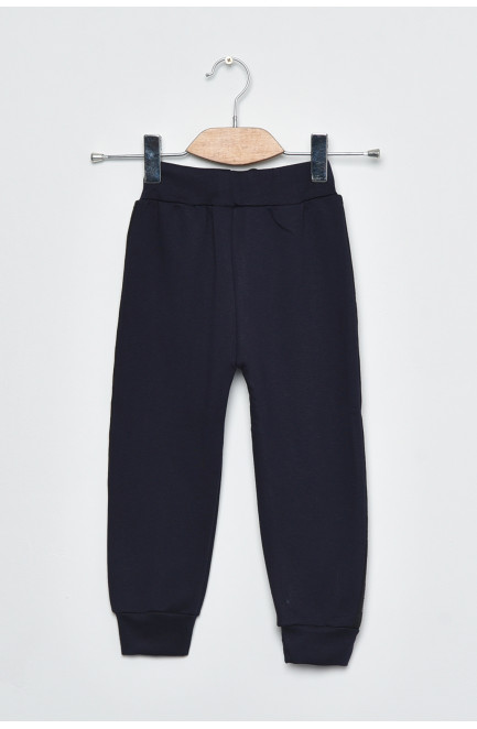 Спортивные штаны детские для мальчика на флисе темно -синего цвета 168522L
