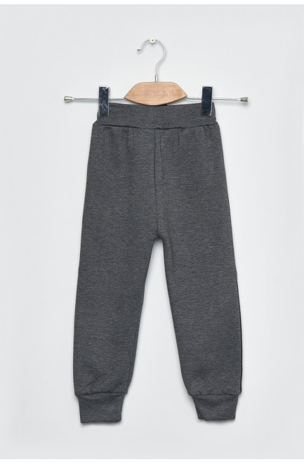 Спортивні штани дитячі для хлопчика на флісі сірого кольору 168529L
