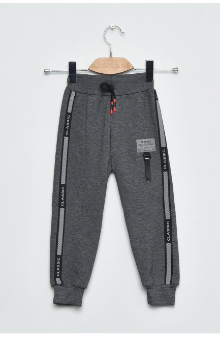 Спортивные штаны детские для мальчика на флисе серого цвета 168537L