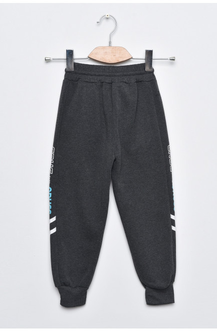 Спортивні штани дитячі для хлопчика на флісі темно-сірого кольору 169253L