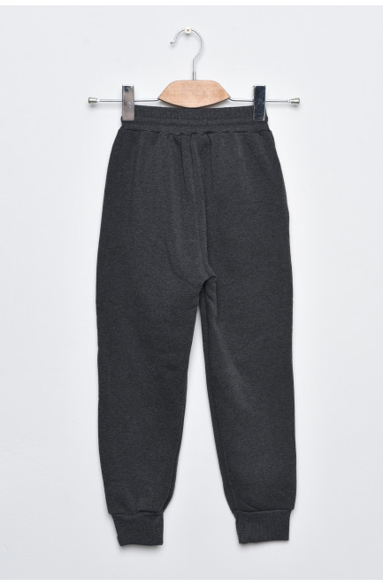 Спортивні штани дитячі для хлопчика на флісі темно-сірого кольору 169263L