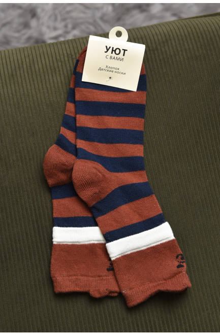 Шкарпетки дитячі для хлопчика коричневого кольору в смужку 169687L