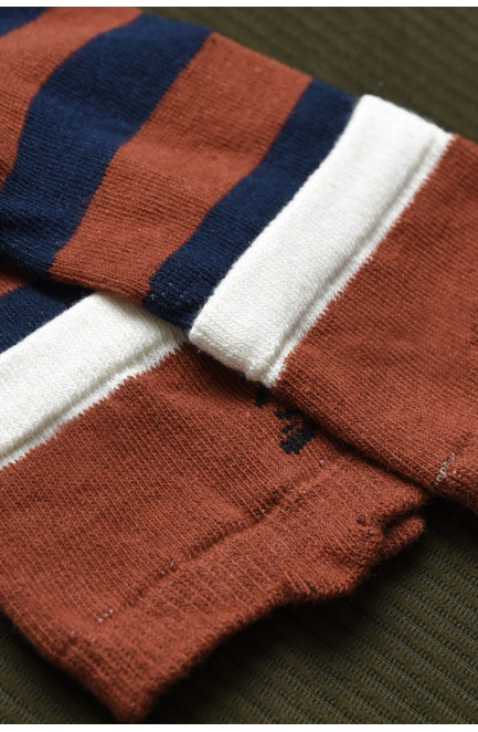 Носки детские для мальчика  коричневого цвета в полоску 169687L