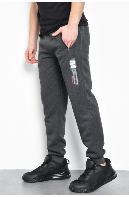 Спортивные штаны мужские на флисе темно-серого цвета 170520L