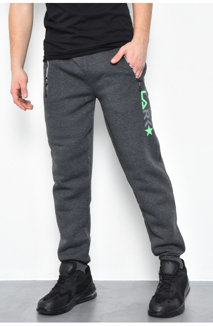 Спортивные штаны мужские на флисе темно-серого цвета 170526L