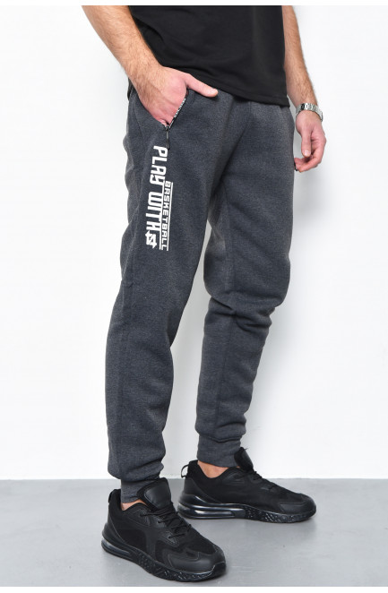 Спортивные штаны мужские на флисе темно-серого цвета 170529L