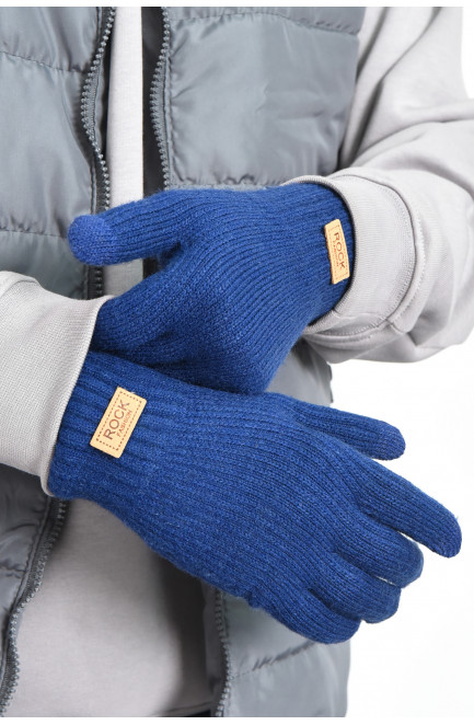 Перчатки мужские сенсорные с утеплителем синего цвета 170847L