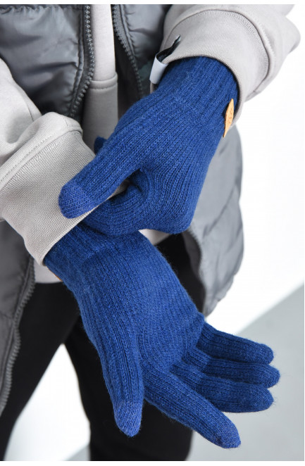 Перчатки мужские сенсорные с утеплителем синего цвета 170847L