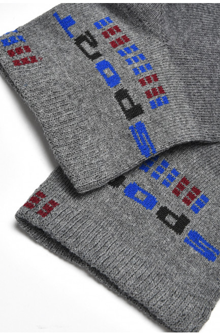Шкарпетки чоловічі спортивні темно-сірого кольору розмір 41-45 172740L