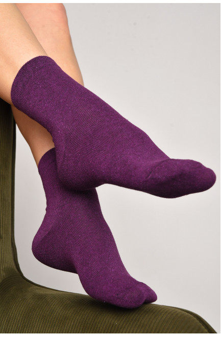 Шкарпетки жіночі демісезонні фіолетового кольору розмір 35-41 172791L