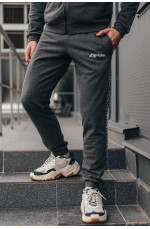 Спортивные штаны мужские серого цвета 172941L