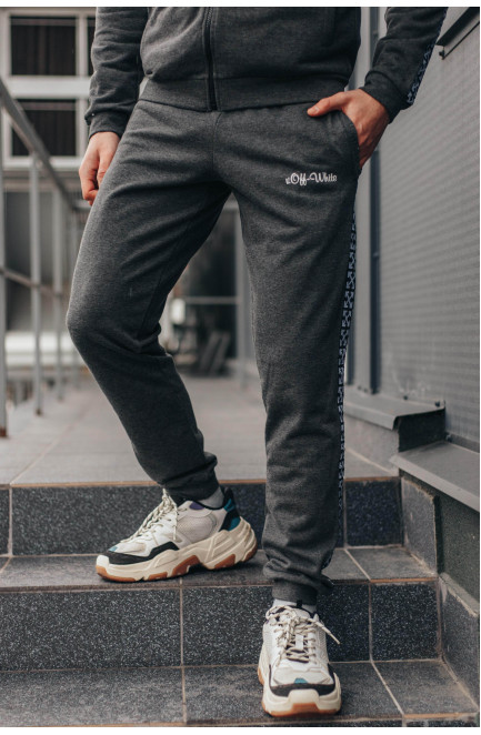 Спортивные штаны мужские серого цвета 172941L