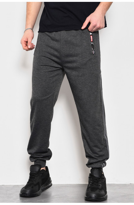 Спортивные штаны мужские серого цвета 173383L