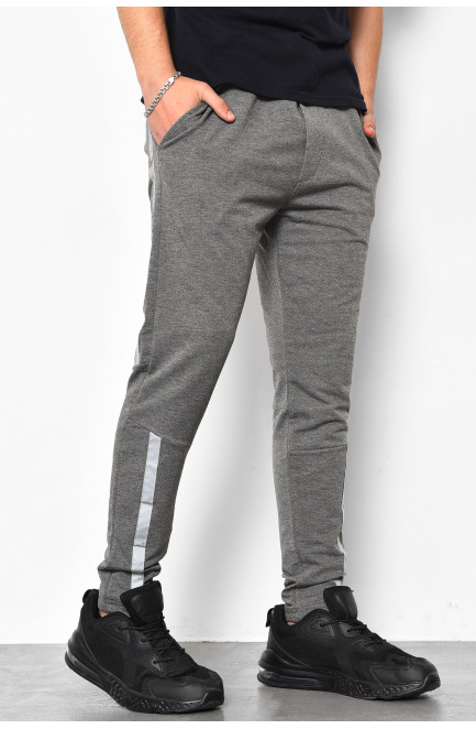 Спортивные штаны мужские серого цвета 174172L