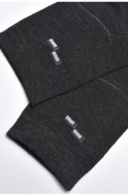 Шкарпетки чоловічі демісезонні темно-сірого кольору 175503L