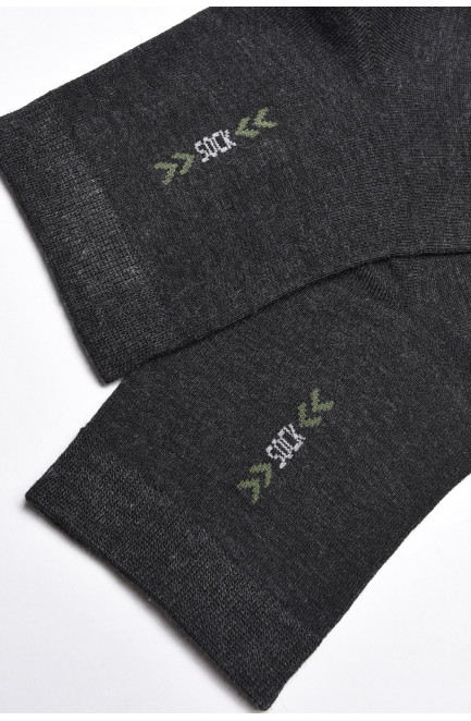 Шкарпетки чоловічі демісезонні темно-сірого кольору 175512L