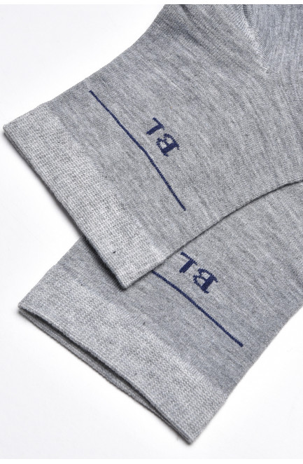 Шкарпетки чоловічі демісезонні сірого кольору 175531L