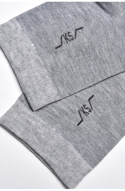 Шкарпетки чоловічі демісезонні сірого кольору 175543L