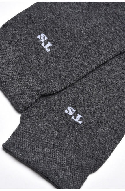 Шкарпетки чоловічі демісезонні темно-сірого кольору 175544L