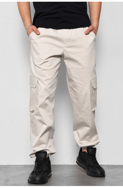 Штани чоловічі сірого кольору 175746L