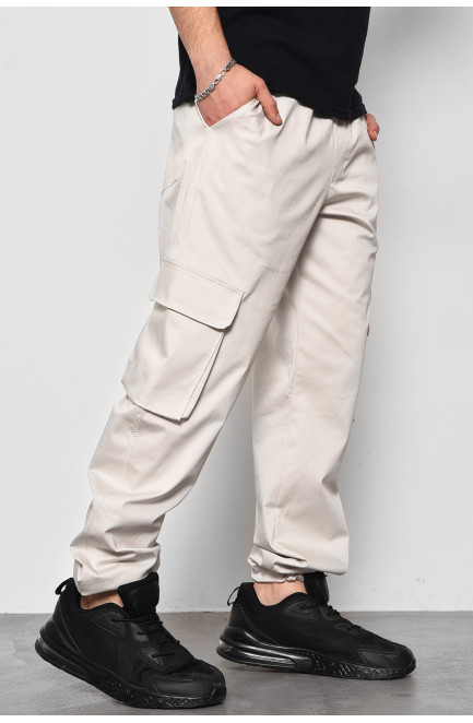 Штани чоловічі сірого кольору 175746L