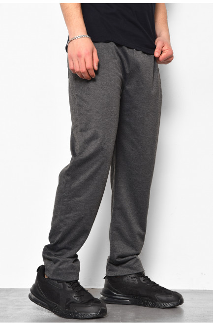 Спортивные штаны мужские серого цвета 175795L