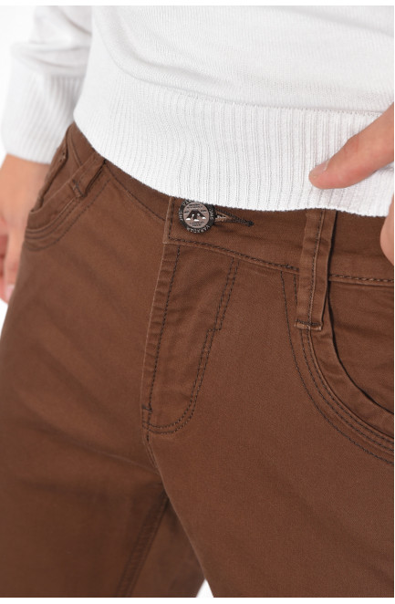 Брюки мужские коричневого цвета 185129L