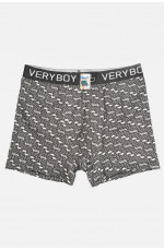 Боксеры мужские чёрного цвета 196478L