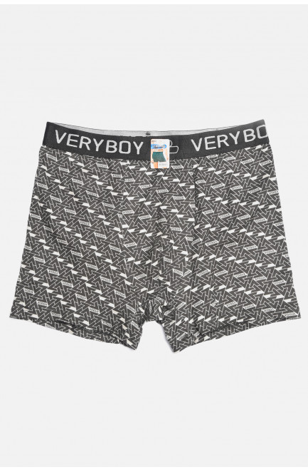 Боксеры мужские чёрного цвета 196478L